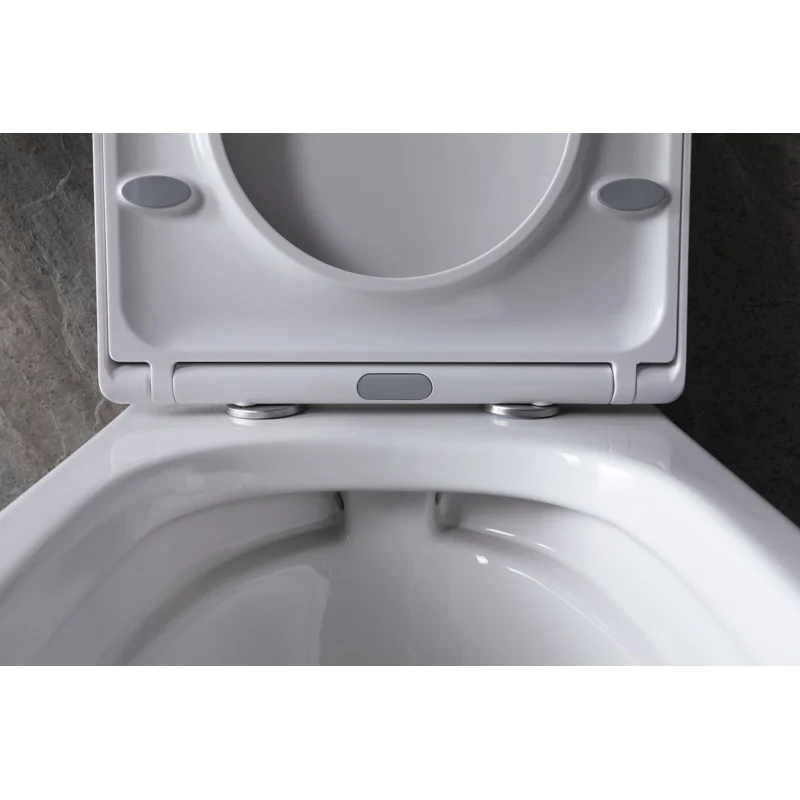 Унитаз с инсталляцией Allen Brau Infinity 4.21004.20/8.9466.0.000.000.1 белый глянец