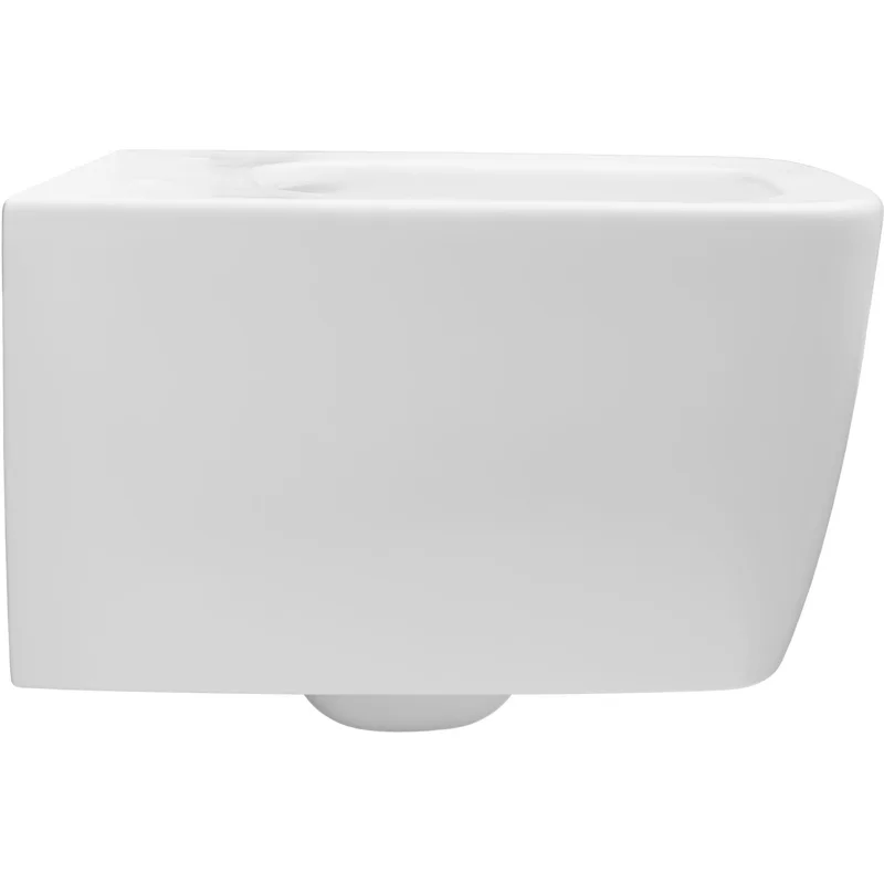 Чаша подвесного унитаза Allen Brau Liberty 4.33007.21 белый матовый