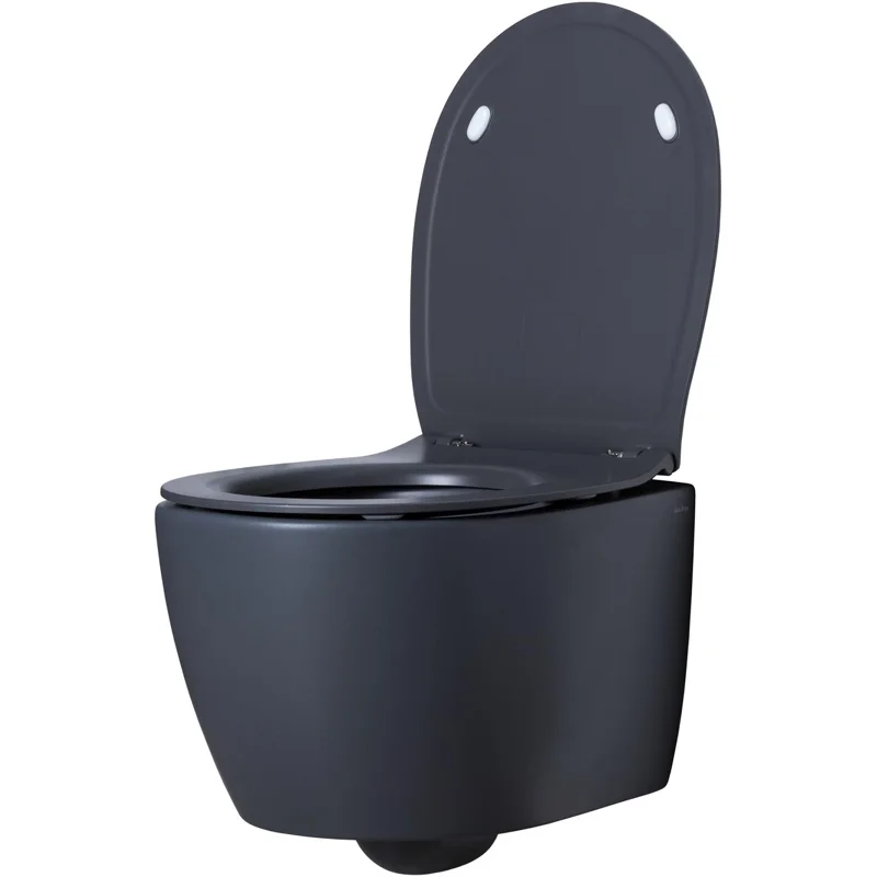 Чаша подвесного унитаза Allen Brau Fantasy 4.11004.AN антрацит