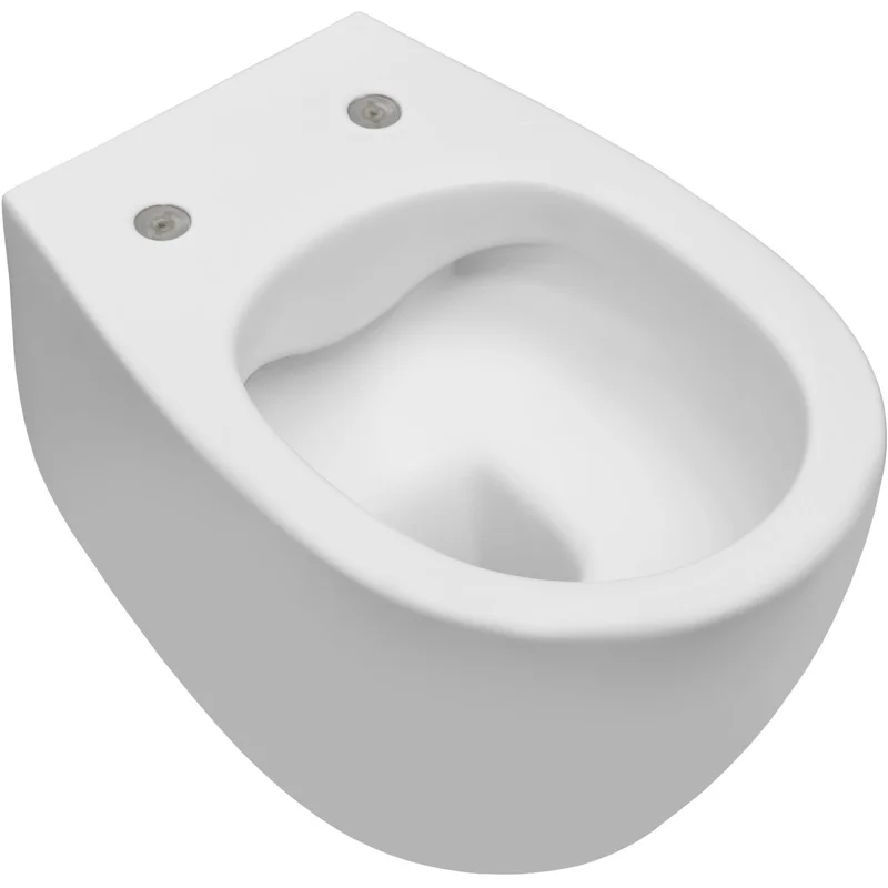 Чаша подвесного унитаза Allen Brau Fantasy 4.11004.21 белый матовый