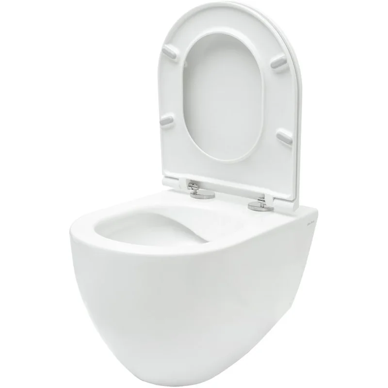 Чаша подвесного унитаза Allen Brau Reality 4.32006.20 белый глянец