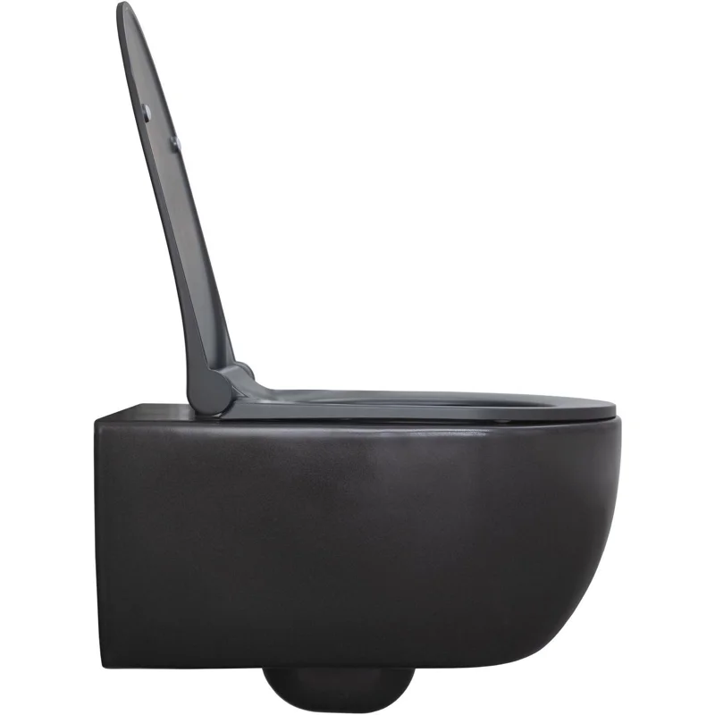 Чаша подвесного унитаза Allen Brau Priority 4.31001.AN антрацит