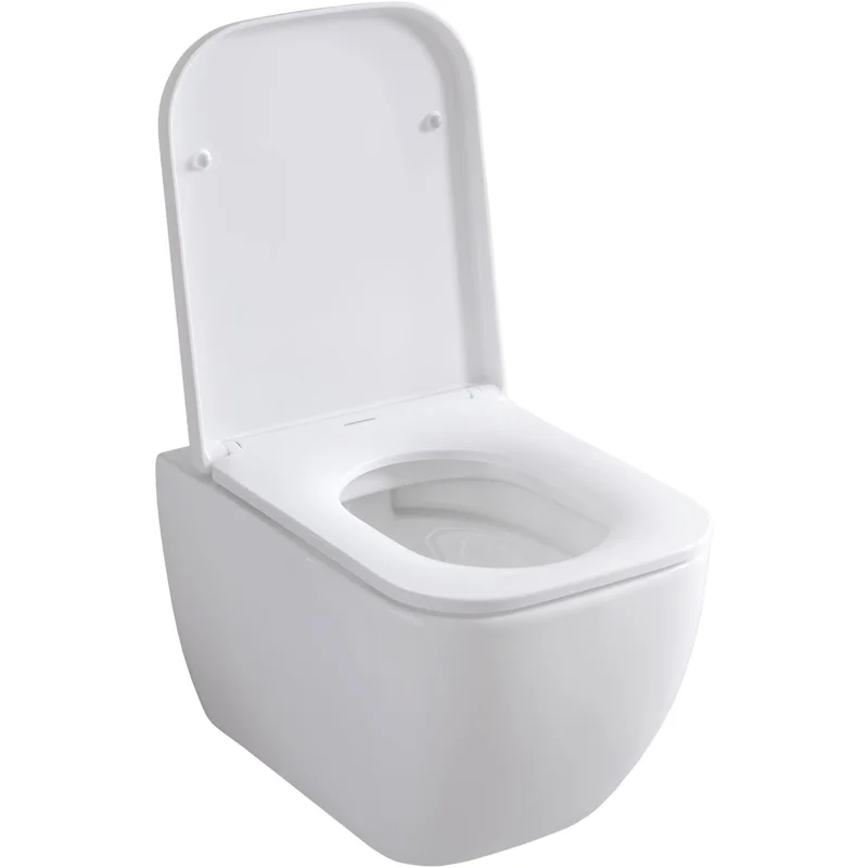 Чаша подвесного унитаза Allen Brau Infinity 4.21004.20 белый глянец