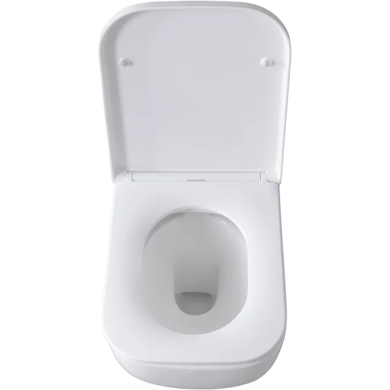 Чаша подвесного унитаза Allen Brau Infinity 4.21004.20 белый глянец