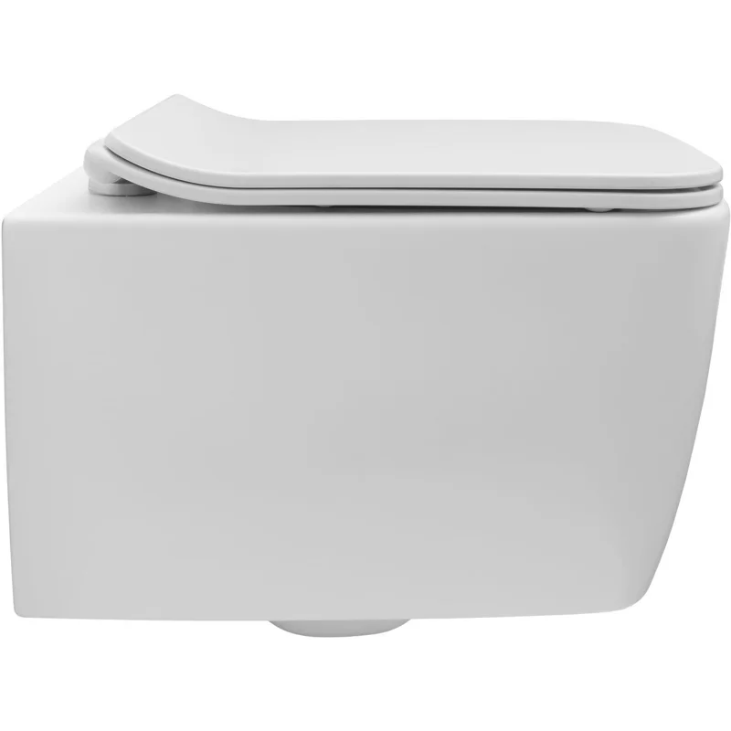 Чаша подвесного унитаза Allen Brau Liberty 4.33007.21 белый матовый