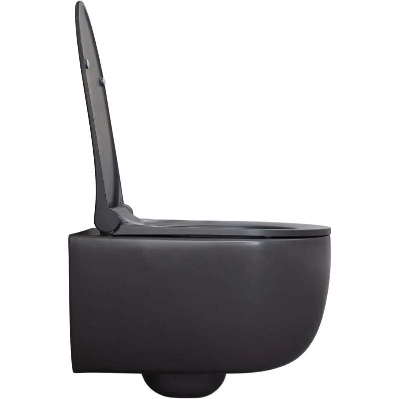 Чаша подвесного унитаза Allen Brau Priority 4.31002.AN антрацит