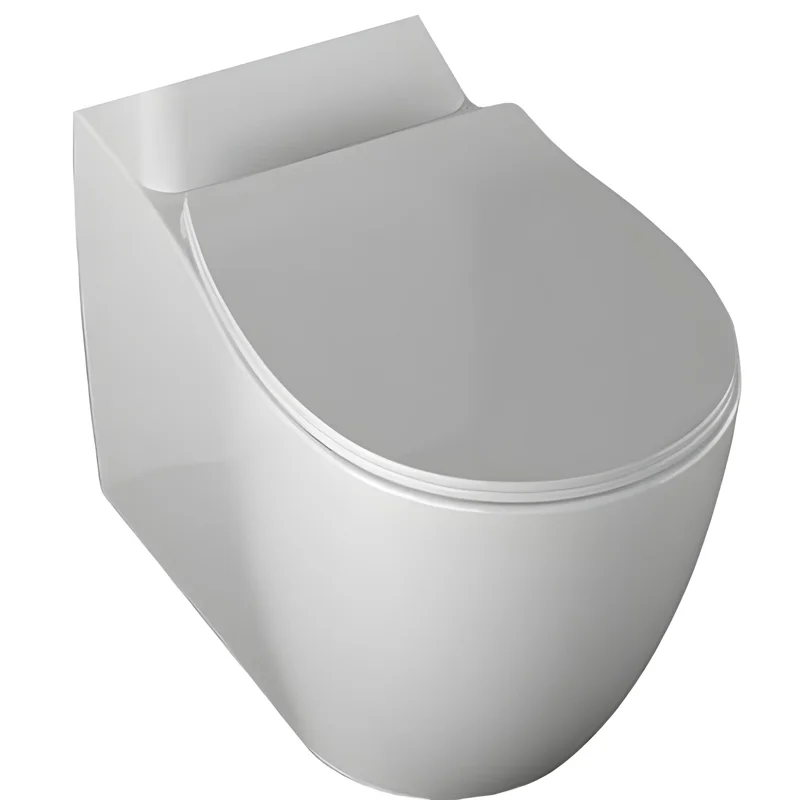 Чаша напольного унитаза Allen Brau Fantasy 4.11009.20 белый глянец