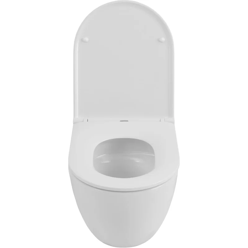 Чаша подвесного унитаза Allen Brau Priority Tornado 4.31008.20 белый глянец