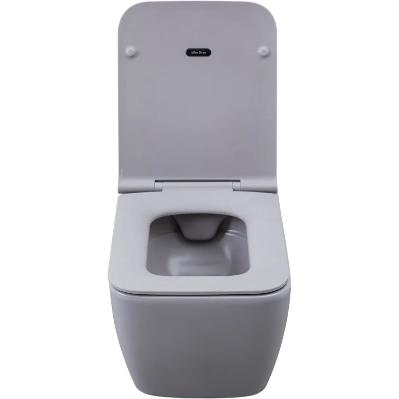 Чаша подвесного унитаза Allen Brau Liberty 4.33007.AN антрацит