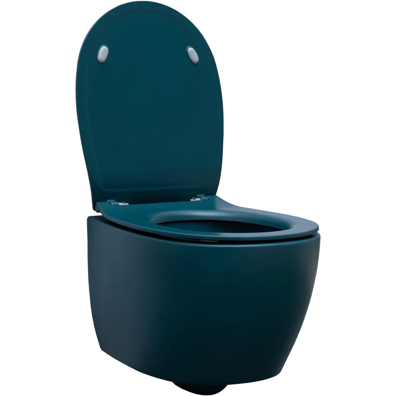 Чаша подвесного унитаза Allen Brau Fantasy 4.11004.PT петроль