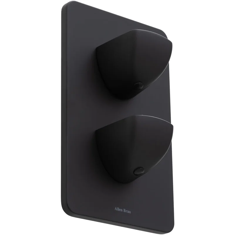 Смеситель для душа Allen Brau Infinity 5.21116-31 (с внутренней частью, 1 выход) черный матовый