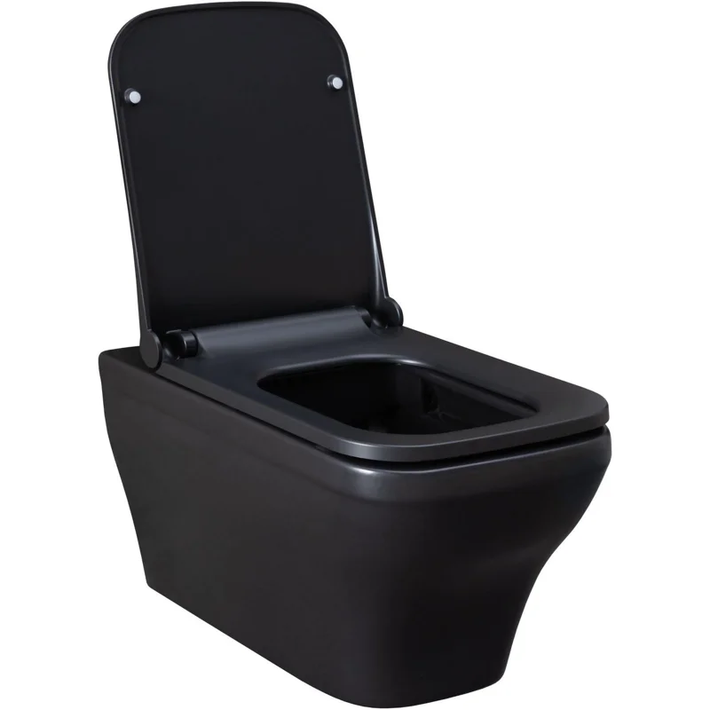 Чаша подвесного унитаза Allen Brau Infinity 4.21011.31 черный матовый