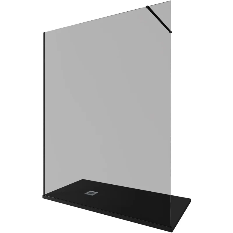 Душевая перегородка Allen Brau Infinity 1 160 3.21034.BBA.T черный браш