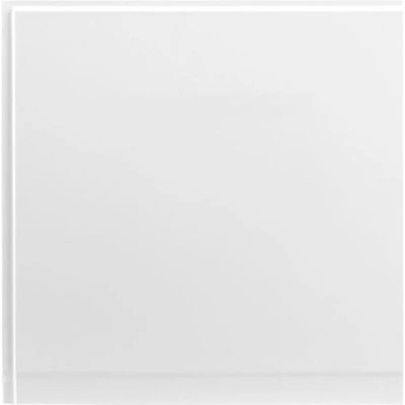 Боковой экран Aquanet Palma 60 R