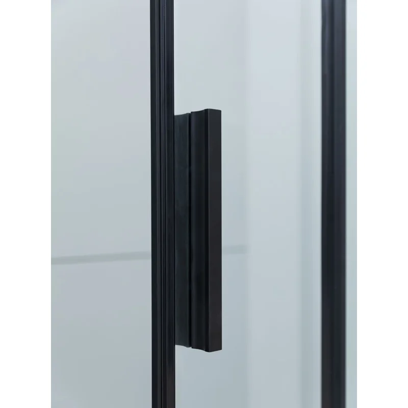 Душевая дверь Aquanet Pleasure Evo 140 AE65-N140-BT профиль черный, прозрачное стекло