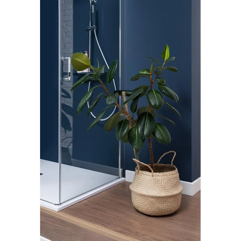 Душевая дверь Aquanet Cinetic AE12-N-80H190U-CT 800, прозрачное стекло