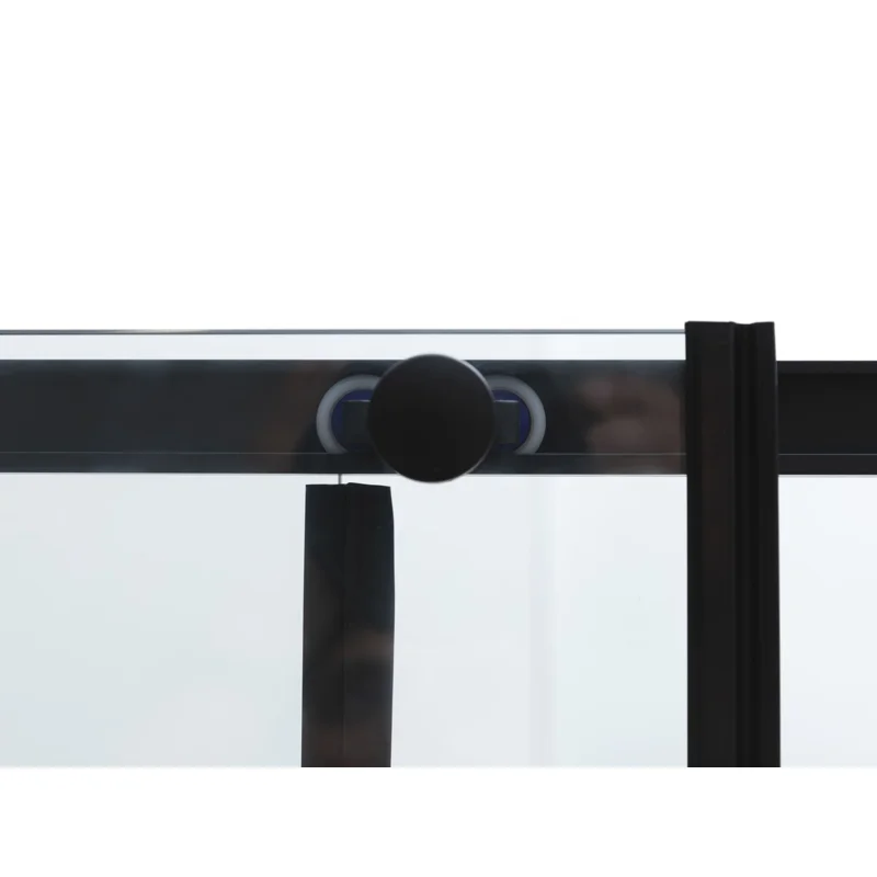 Боковая стенка Aquanet Pleasure Evo 800 AE65-F80-BT профиль черный, прозрачное стекло