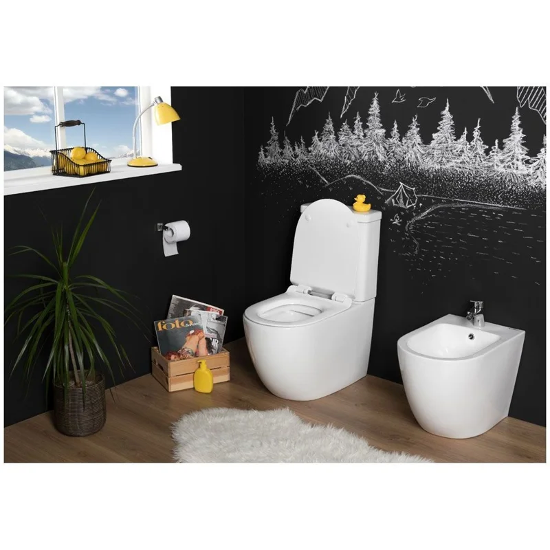 Сливной бачок Aquanet Cetus-C2 BL-102N-TPT