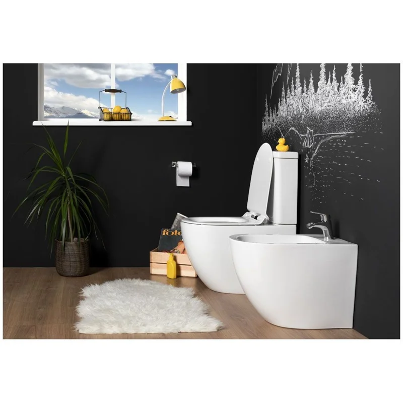 Сливной бачок Aquanet Cetus-C2 BL-102N-TPT