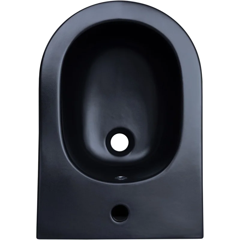 Биде подвесное Aquanet Lake LAKE-B2B черный матовый