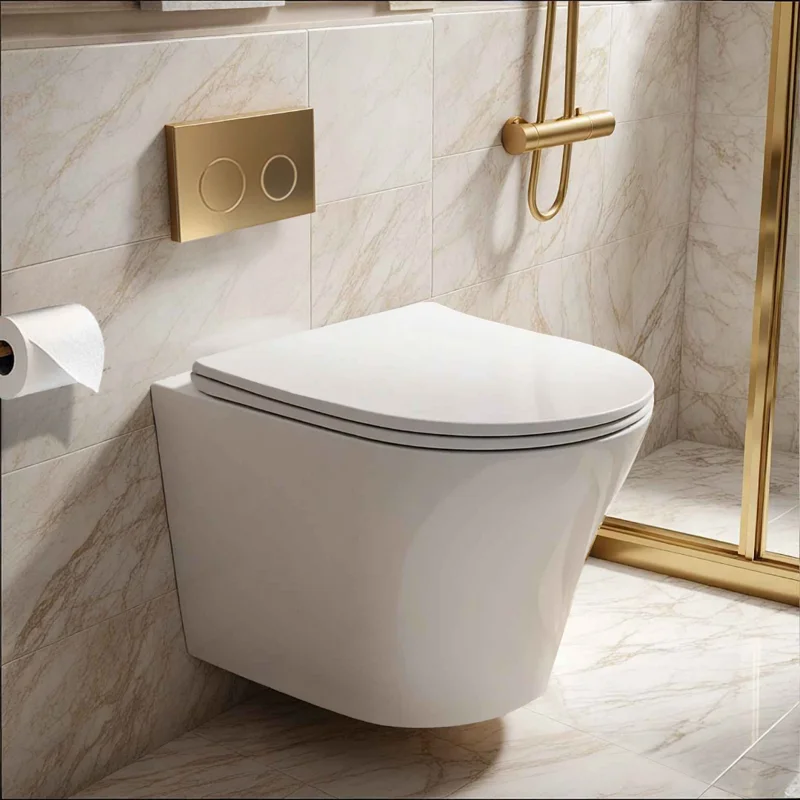 Унитаз ADIGE Aria подвесной безободковый Ceruttispa CT7837 (490x360x355) Унитаз ADIGE Aria подвесной безободковый Ceruttispa CT7837 (490x360x355)