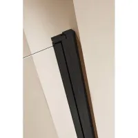 Душевая дверь CEZARES ECO-O-B-1-90-C-NERO