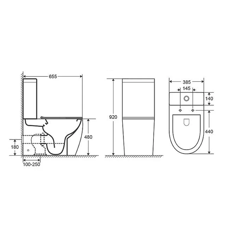 Унитаз GR-4473S Style (655*365*920) напольный БЕЗОБОДКОВЫЙ с ВЫСОКОЙ ЧАШЕЙ 48 см, 2 места