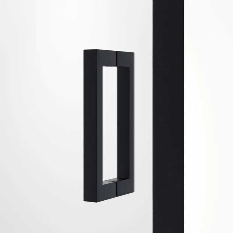 Душевая дверь в нишу RGW PA-016 B Passage 350801614-24, 140 см, стекло матовое, профиль черный