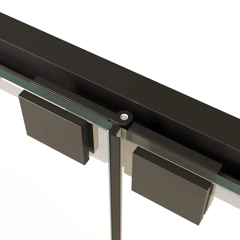 Душевая дверь в нишу RGW Passage PA-21B 06082110-14, 100 см, стекло прозрачное, профиль черный