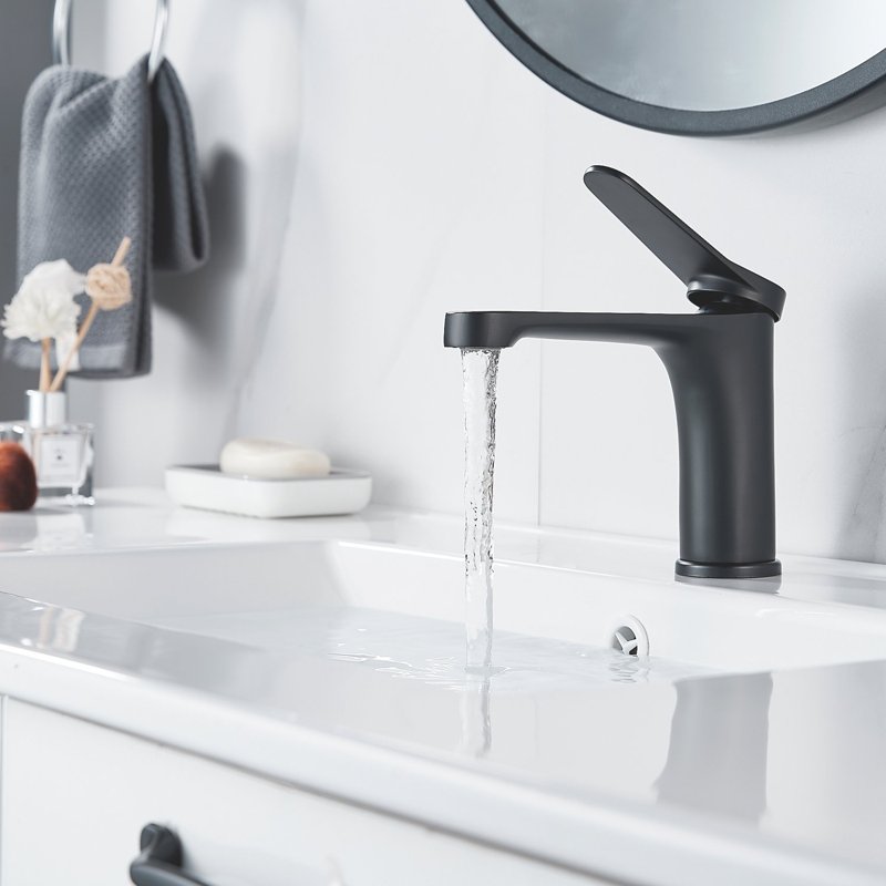 Смеситель для раковины Shevanik S6201H, черный