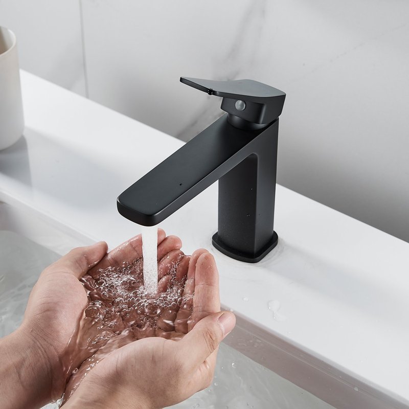 Смеситель для раковины Shevanik S9901H, черный