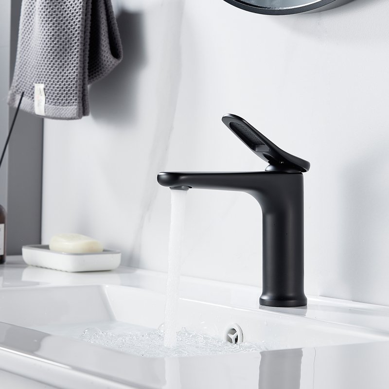 Смеситель для раковины Shevanik S4701H, черный