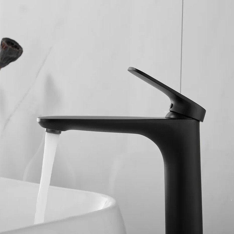 Смеситель для раковины Shevanik S8511H, черный