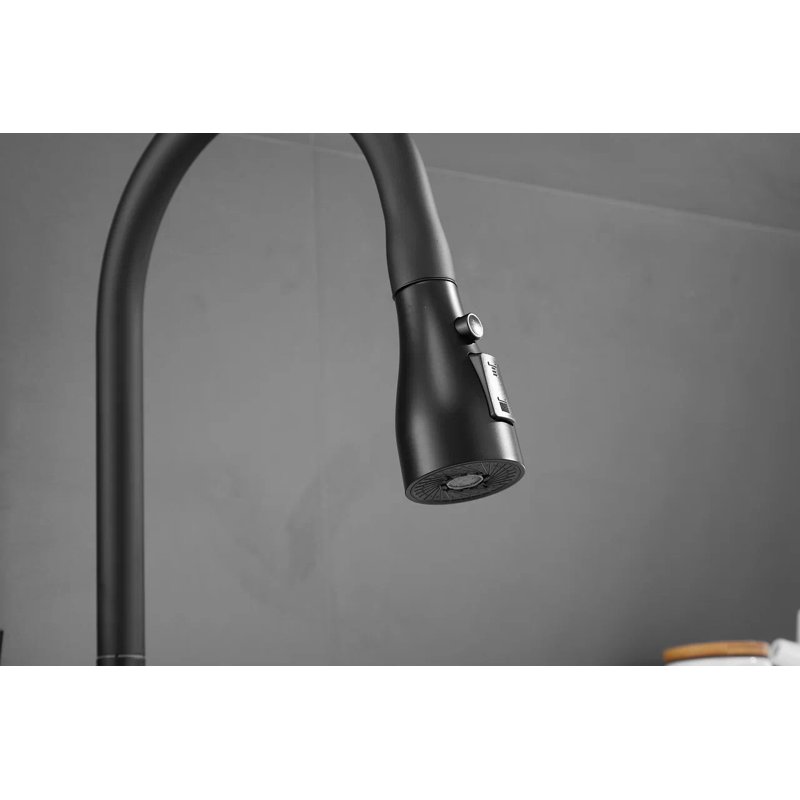 Смеситель для кухни с выдвижным изливом Shevanik S163H, черный