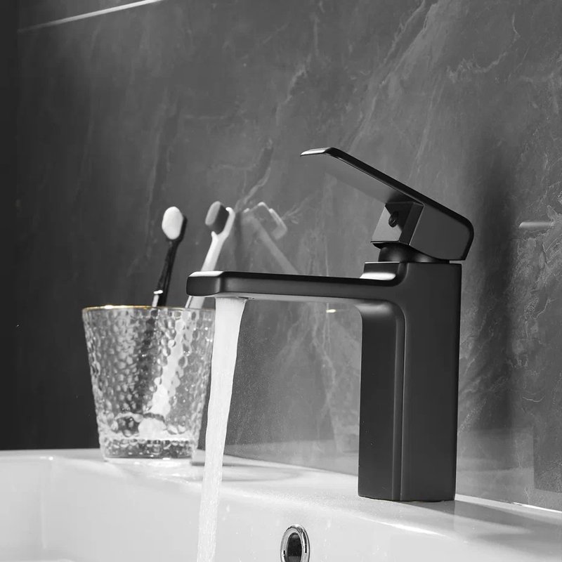 Смеситель для раковины Shevanik S8801H, черный