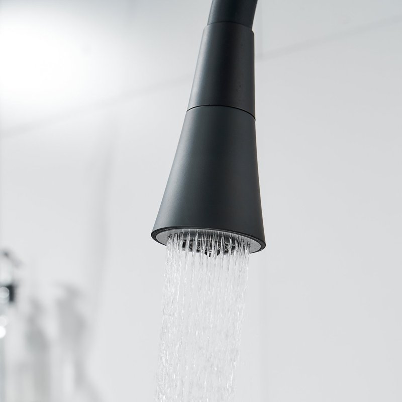 Смеситель для кухни с гибким изливом Shevanik S543H-3, черный