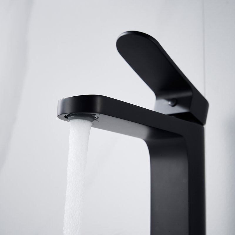 Смеситель для раковины Shevanik S4501H, черный