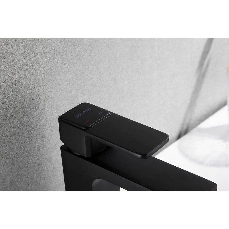 Смеситель для раковины Shevanik S9701H, черный