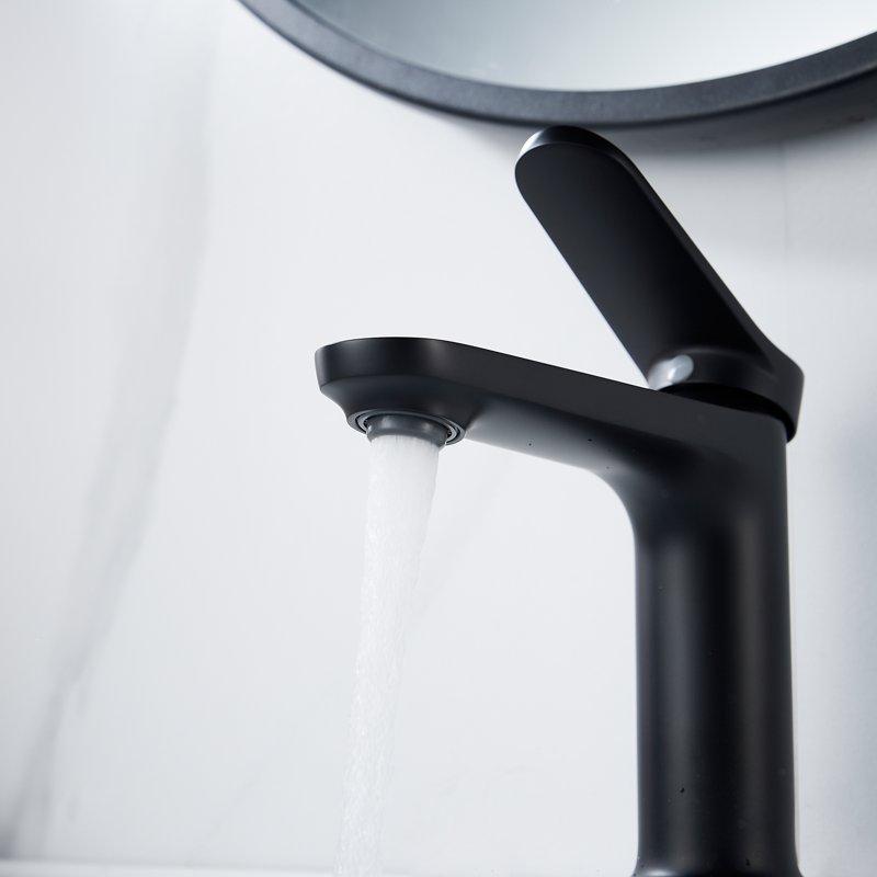 Смеситель для раковины Shevanik S4301H, черный