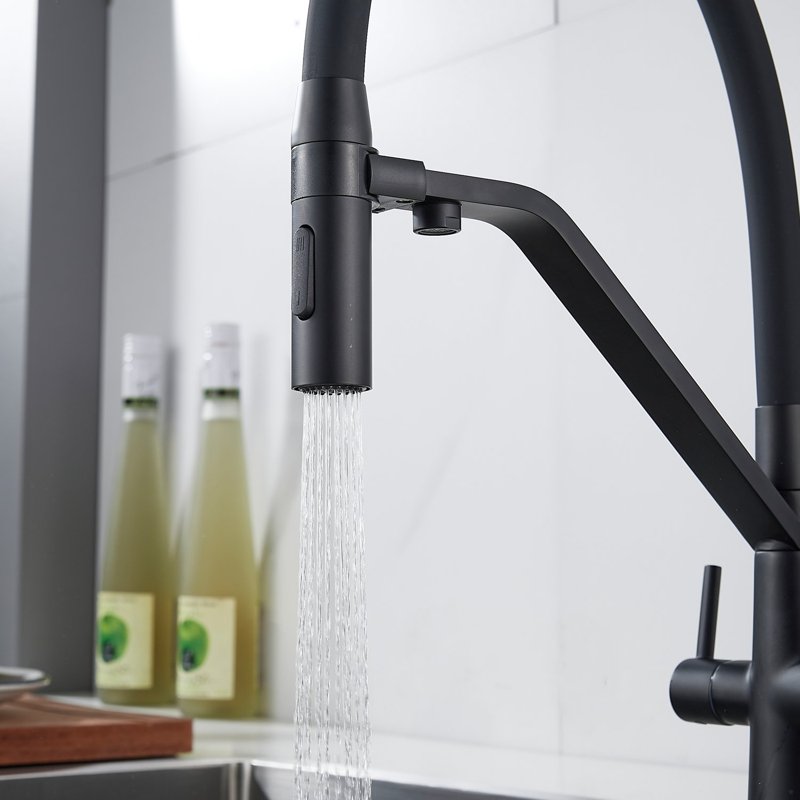 Смеситель для кухни с гибким изливом и подключением фильтра Shevanik S278H, черный