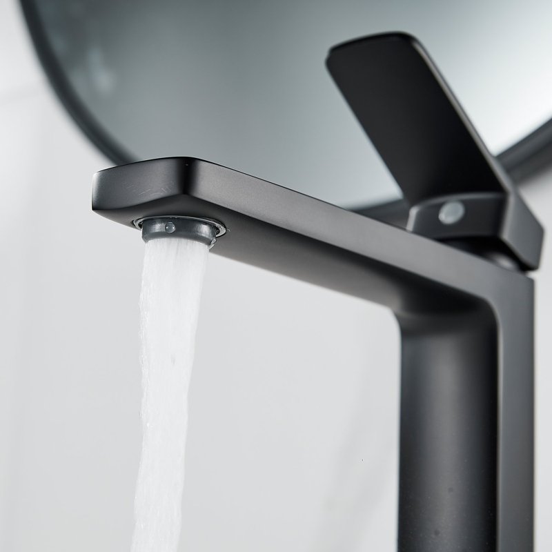 Смеситель для раковины Shevanik S9911H, черный