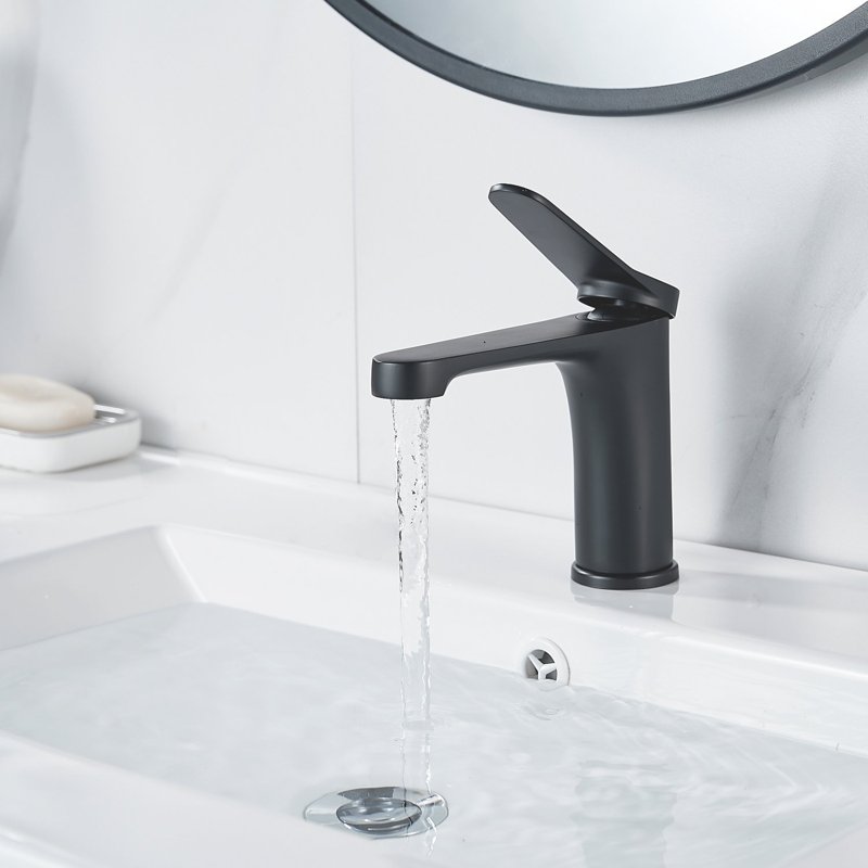 Смеситель для раковины Shevanik S6201H, черный