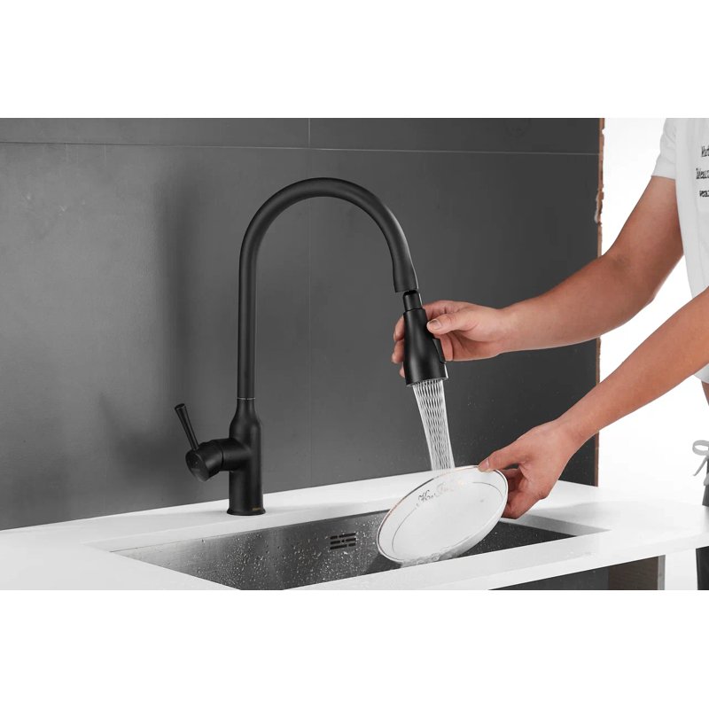 Смеситель для кухни с выдвижным изливом Shevanik S163H, черный