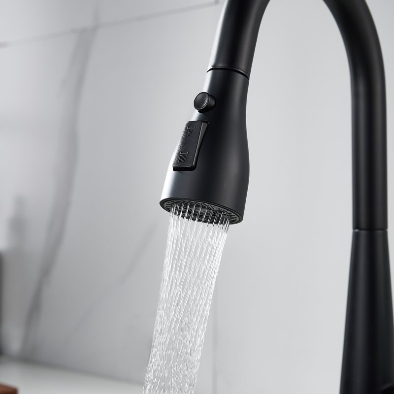 Смеситель для кухни с выдвижным изливом Shevanik S363H, черный