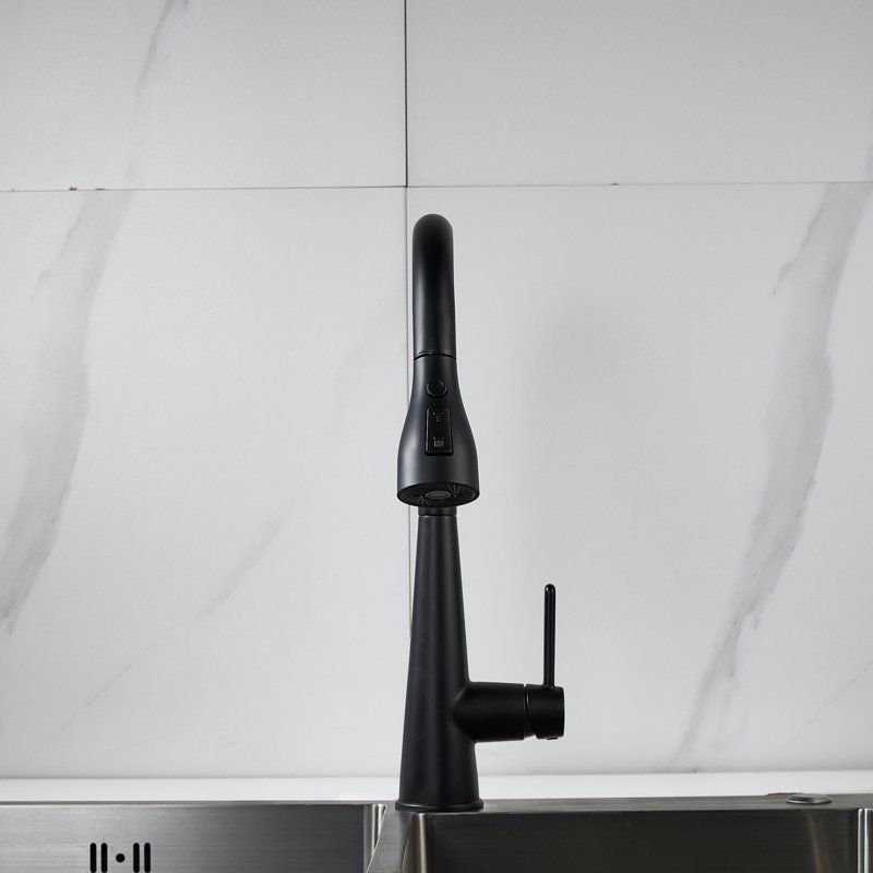 Смеситель для кухни с выдвижным изливом Shevanik S363H, черный