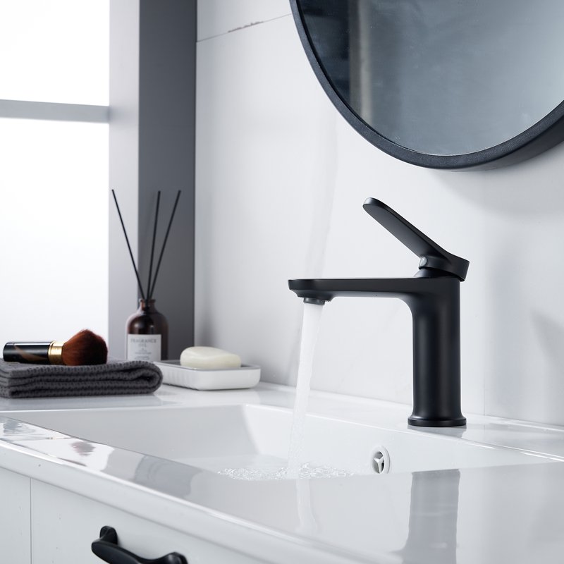 Смеситель для раковины Shevanik S4301H, черный