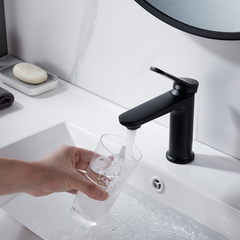 Смеситель для раковины Shevanik S4301H, черный