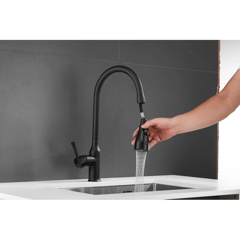 Смеситель для кухни с выдвижным изливом Shevanik S163H, черный