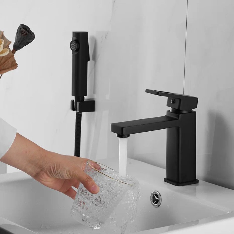 Смеситель для раковины с гигиеническим душем Shevanik S8271H, черный