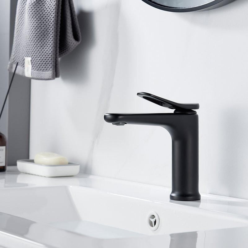 Смеситель для раковины Shevanik S4701H, черный